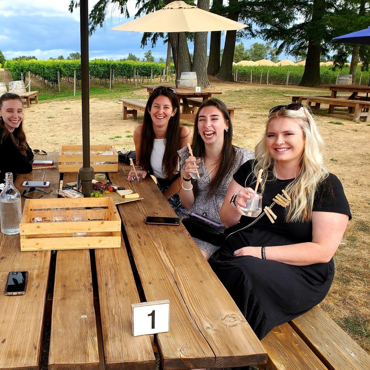 Wine and Cider Tasting Langley